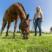 Horse and girl_HR-fit-85x85